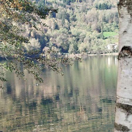 Casa Vacanza Da Nonna Elena Appartement Vattaro Buitenkant foto