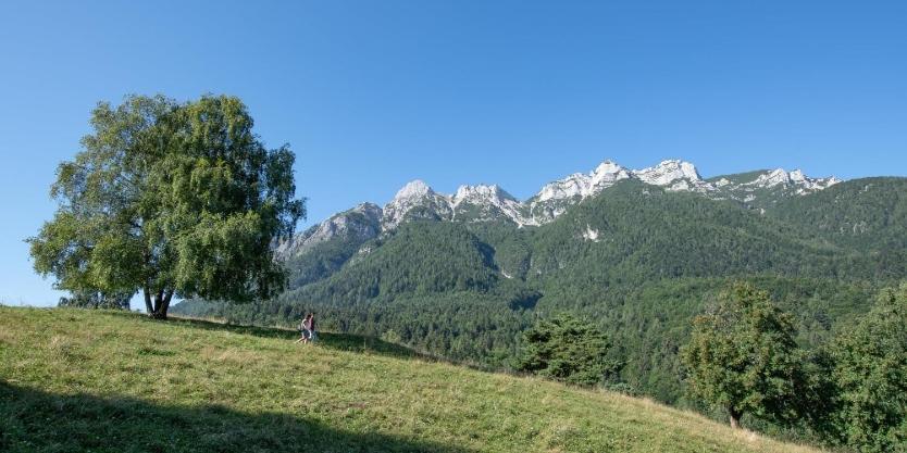 Casa Vacanza Da Nonna Elena Appartement Vattaro Buitenkant foto