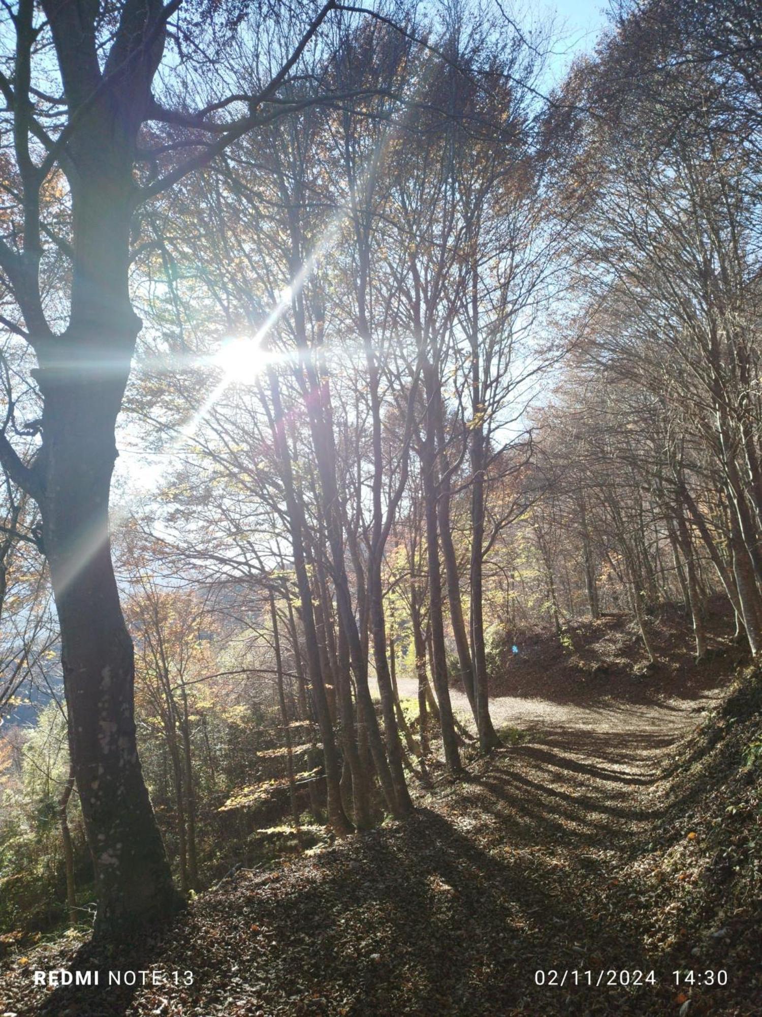 Casa Vacanza Da Nonna Elena Appartement Vattaro Buitenkant foto